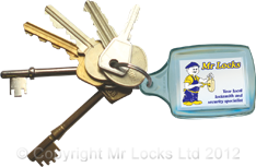 Mr Locks Keyring